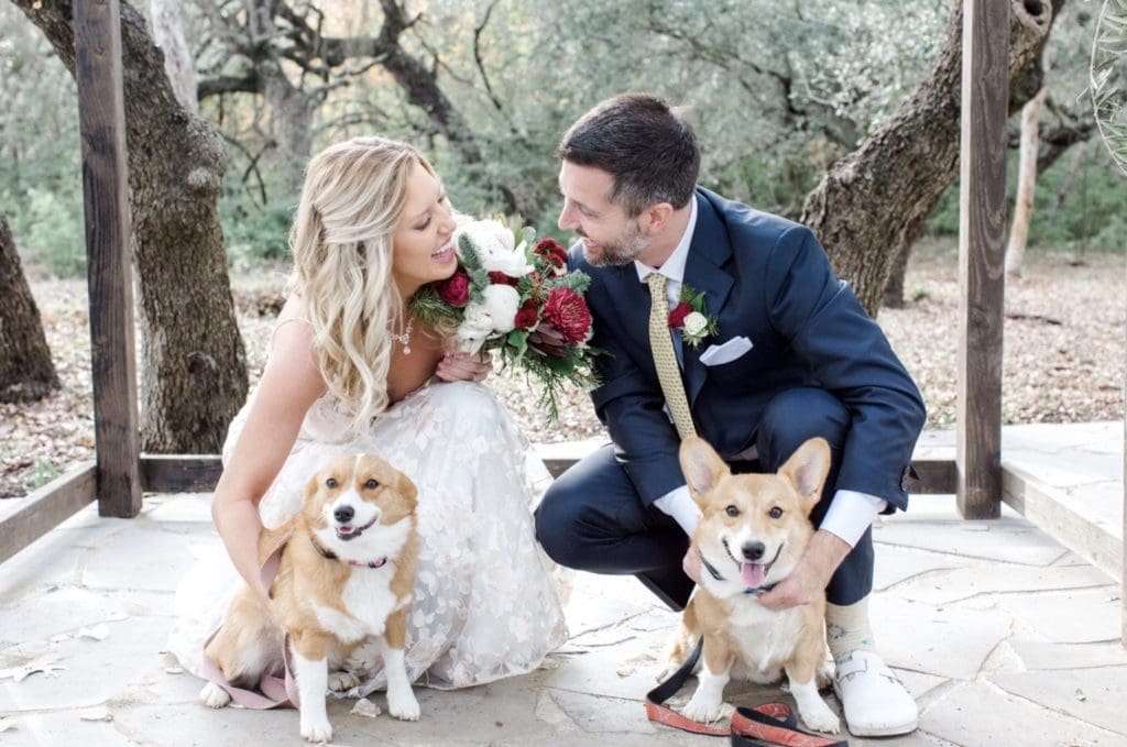 A picture of Kate in a wedding dress with her husband and two Corgis